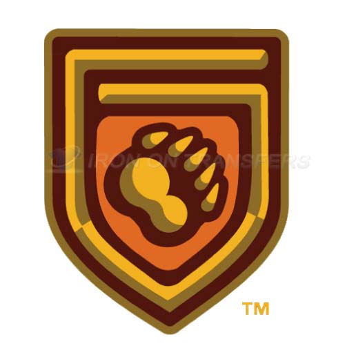 Fresno Grizzlies Iron-on Stickers (Heat Transfers)NO.8162